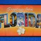 **BRAND NEW** GREETINGS FROM FLORIDA POSTCARD FLAMINGO ORANGES PARROT PALM TREES **BRAND NEW** GREETINGS FROM FLORIDA POSTCARD FLAMINGO ORANGES PARROT PALM TREES