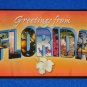 **BRAND NEW** GREETINGS FROM FLORIDA POSTCARD FLAMINGO ORANGES PARROT PALM TREES