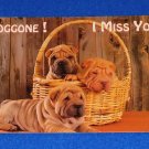 BEAUTIFUL VINTAGE SHAR PEI DOGS POSTCARD DOGGONE I MISS YOU CUTE DOGS IN BASKET