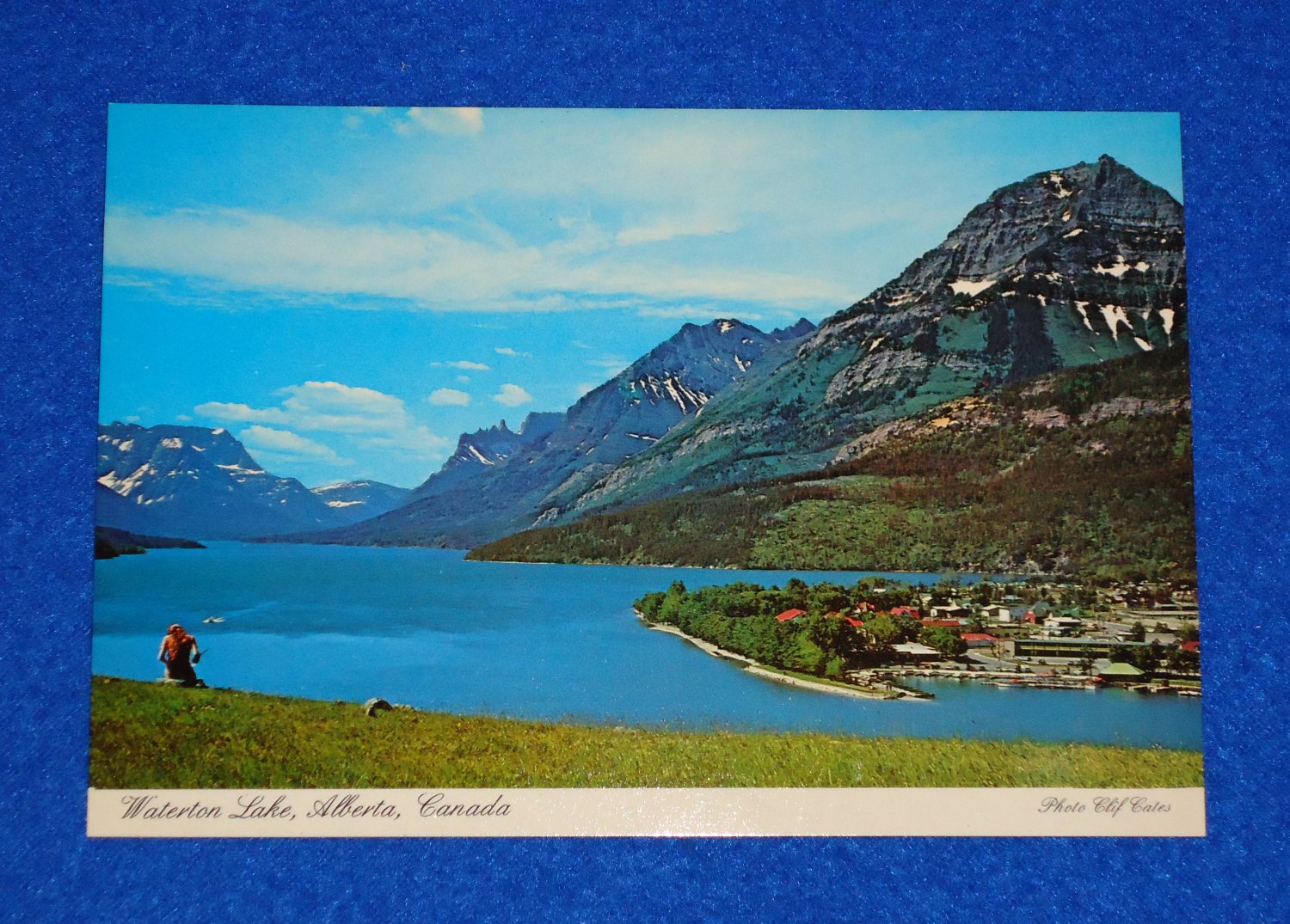 VINTAGE POSTCARD WATERTON LAKES NATIONAL PARK POSTCARD TOWNSITE ALBERTA