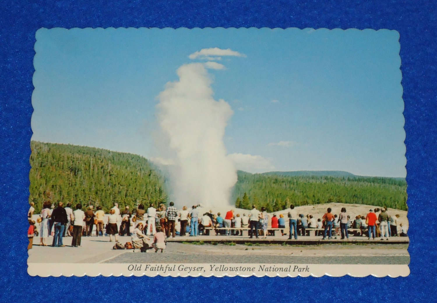 Dynamic Vintage Old Faithful Geyser Postcard Yellowstone National Park