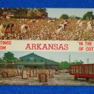 DARLING VINTAGE GREETINGS FROM ARKANSAS IN THE LAND OF COTTON POSTCARD SOUVENIR