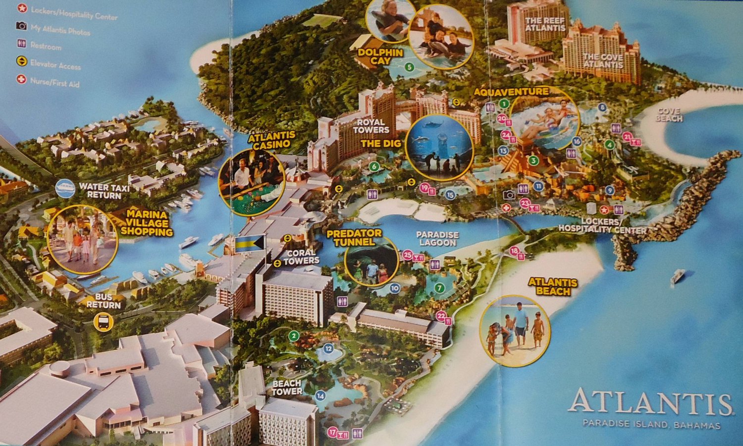 ***BRAND NEW*** ATLANTIS WATER PARK DOLPHIN CAY BROCHURE NASSAU BAHAMAS ...