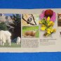 BRAND NEW STAGGERING MOUNT RUSHMORE NATIONAL PARK SERVICE FLYER COLLECTOR'S ITEM