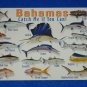 BRAND NEW FASCINATING BAHAMAS CATCH ME IF YOU CAN FISH POSTCARD COLLECTOR'S ITEM