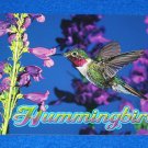 BRAND NEW STAGGERING BROAD-TAILED HUMMINGBIRD POSTCARD KEEPSAKE COLORADO WYOMING