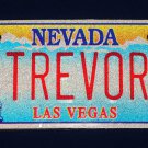 BRAND NEW HANDSOME NEVADA LAS VEGAS TREVOR LICENSE PLATE SOUVENIR COLLECTIBLE