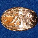 BRAND NEW WASHINGTON DC NATURAL HISTORY MUSEUM TRICERATOPS BONES FOSSILS PENNY