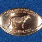 BRAND NEW SUPERB WASHINGTON DC NATIONAL ZOO PARK MOUNTAIN LION PENNY COLLECTIBLE