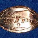 BRAND NEW COOL WASHINGTON DC NATURAL HISTORY MUSEUM BEAR PENNY COLLECTOR'S ITEM