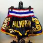 Lot no.1 Thai Boxing Shorts (see catalog in stock)