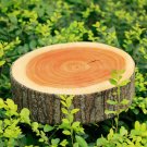 3D Novelty Ginkgo Tree Stump Log Wood Soft Throw Pillow Cushion