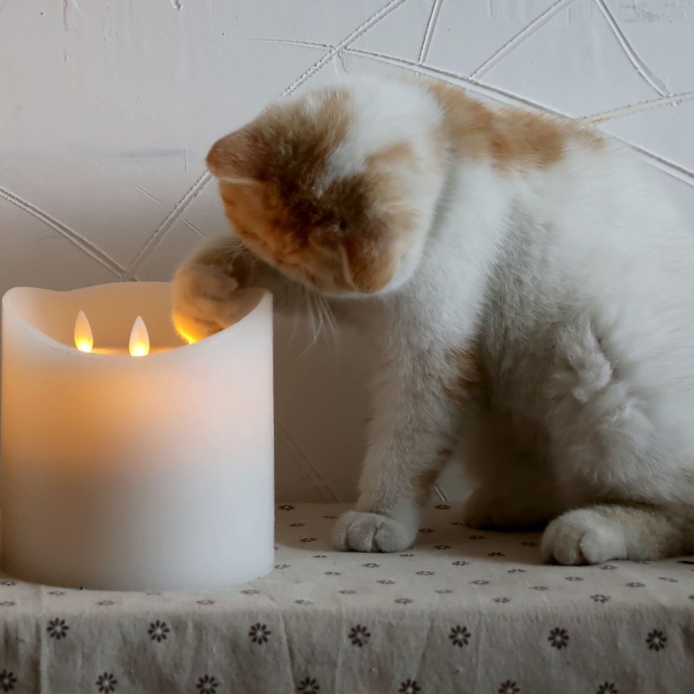 6*6'' Huge 3-Wicks Remote Moving Flameless Candle Ivroy