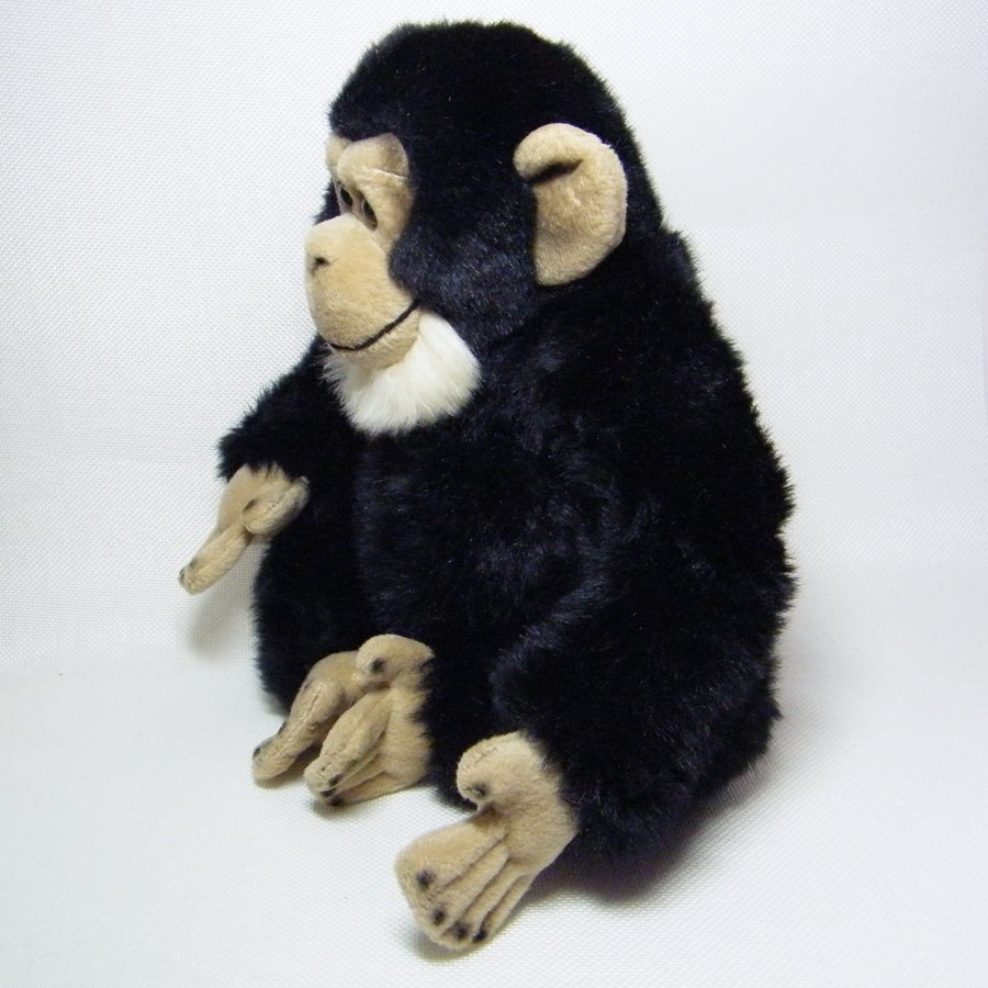 webkinz signature chimpanzee