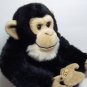 webkinz signature chimpanzee