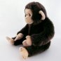 webkinz signature chimpanzee