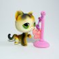 Littlest Pet Shop # 27 CALICO CAT Raise Paw Green Eyes & Accessory Rare!