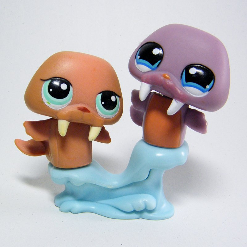 littlest pet shop walrus