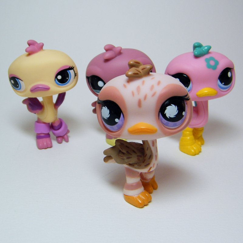 Littlest Pet Shop # 945 1045 1416 2349 OSTRICH Birds Postcard, Funniest, Pairs
