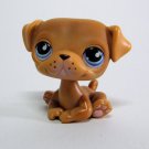 Littlest Pet Shop # 786 / 901 PUG Puppy Dog, Brown, Blue Tear Drop Eyes LPS
