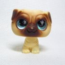 Littlest Pet Shop # 623 PUG Puppy with Glassy Blue Eyes Messiest Pet