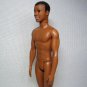 Barbie Friend STEVEN AA African American Doll NUDE for OOAK, Display, Play