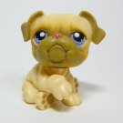 Littlest Pet Shop # 1342 BULLDOG Blonde Puppy from Tubes