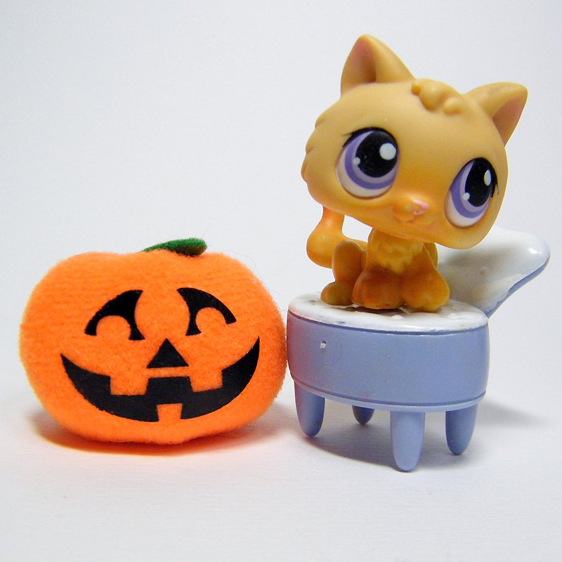 Littlest Pet Shop # 248 KITTEN Purple Eyes from Collector's Tin with ...