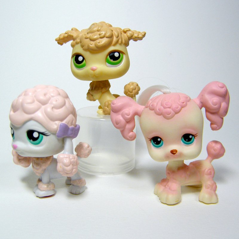 Littlest Pet Shop # 146, 152, 255 POODLE Portable, Totally Talented