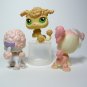 Littlest Pet Shop # 146, 152, 255 POODLE Portable, Totally Talented & Collector