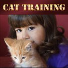 All About Cat Training