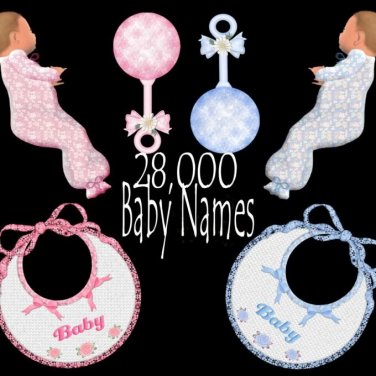28000 Baby Names