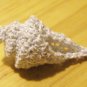 PDF Pattern- Crochet small seashell