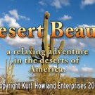 "Desert Beauty" Beautiful Scenery of the Sonoran Desert, Travel / Relaxation DVD