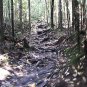 "VIRTUAL HIKE IN MAINE I" For use on Treadmill, Stair Stepper, Exercise DVD