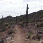 "THE GREAT AMERICAN SOUTHWEST VIRTUAL 4 DVD HIKING SET" for use on a treadmill.