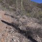 "TABLE TOP MOUNTAIN VIRTUAL HIKE" great way to exercise on a treadmill. DVD