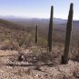 "TABLE TOP MOUNTAIN VIRTUAL HIKE" great way to exercise on a treadmill. DVD