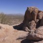 "THE AMERICAN SOUTHWEST VIRTUAL 4 DISK HIKING  SET" good to use on a treadmill.