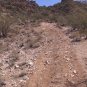 "THE AMERICAN SOUTHWEST VIRTUAL 4 DISK HIKING  SET" good to use on a treadmill.