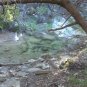 "TEXAS TRAIL VIRTUAL WALK / HIKE" Treadmill, Stair Stepper, Exercise DVD