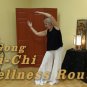 Easy Tai-Chi & Qigong Combo DVD, Increase Breathing, & Flexibility, for Seniors