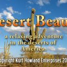 "Desert Beauty" Beautiful Scenery in the Sonoran Desert, Travel / Relaxation