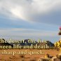 "Desert Beauty" Beautiful Scenery in the Sonoran Desert, Travel / Relaxation