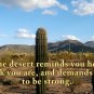 "Desert Beauty" Beautiful Scenery in the Sonoran Desert, Travel / Relaxation