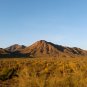 "Desert Beauty" Beautiful Scenery in the Sonoran Desert, Travel / Relaxation