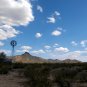 "Desert Beauty" Beautiful Scenery in the Sonoran Desert, Travel / Relaxation