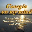 "Georgia is on my Mind" Travel, Relaxation, & Meditation DVD to calm the soul.