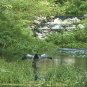 "WAVES & WATERWAYS",  a Calming Relaxation DVD / Video