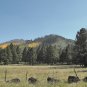 "RELAXING in AMERICA the BEAUTIFUL" Relaxation / Meditation / Travel Video, DVD